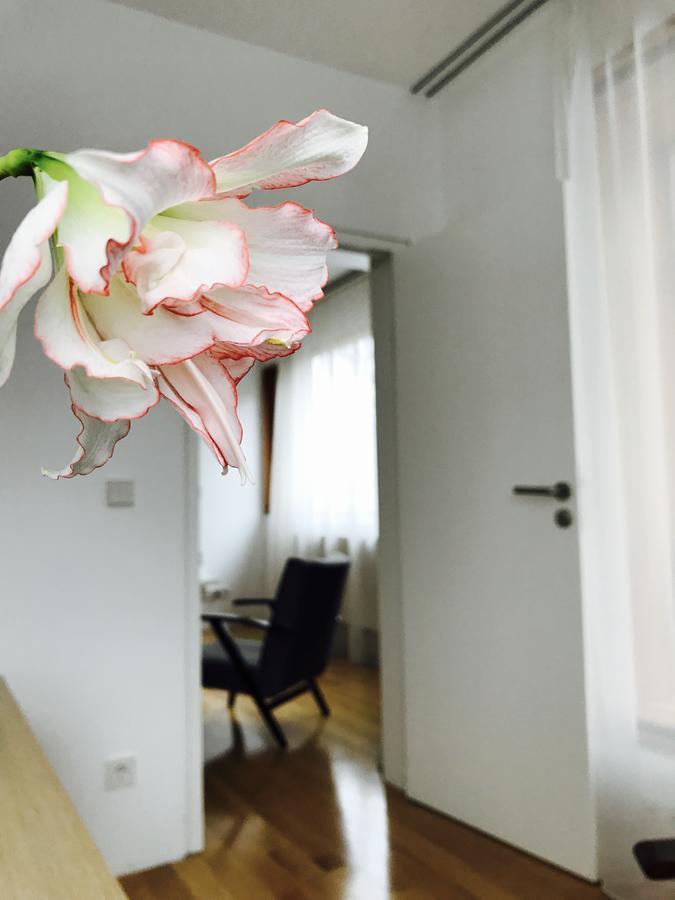 Design Apartment In Park Sofia Exterior foto